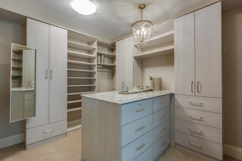 Built In Cabinetry Painting